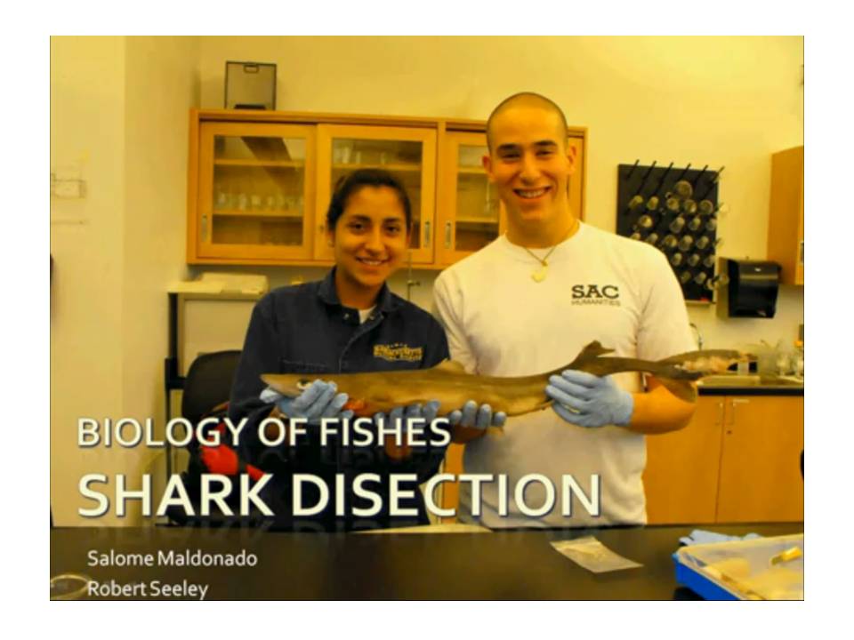 Fish Biology youtube videos